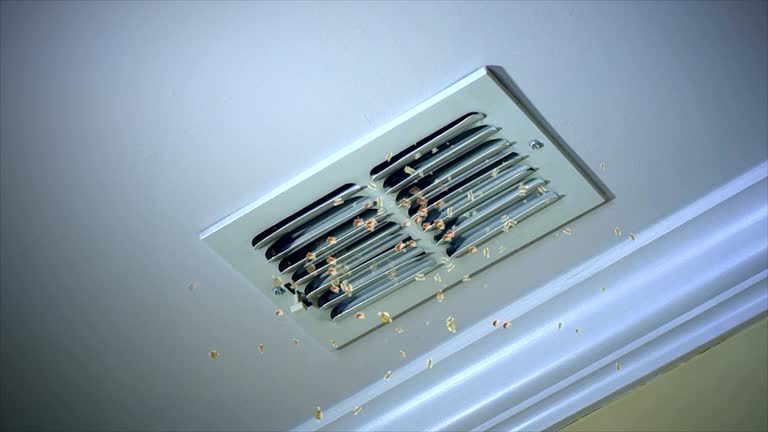 Best HVAC System Cleaning  in Campti, LA