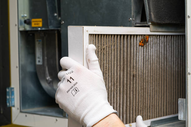 Best Best Air Duct Cleaning Near Me  in Campti, LA