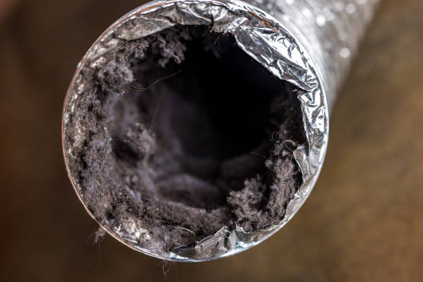 Air Duct Mold Removal in Campti, LA
